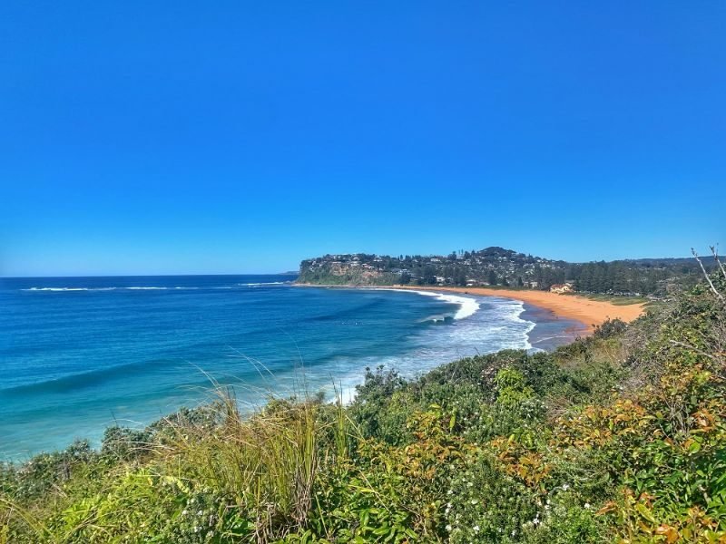 Sydney Beach - Learn to Surf in Sydney