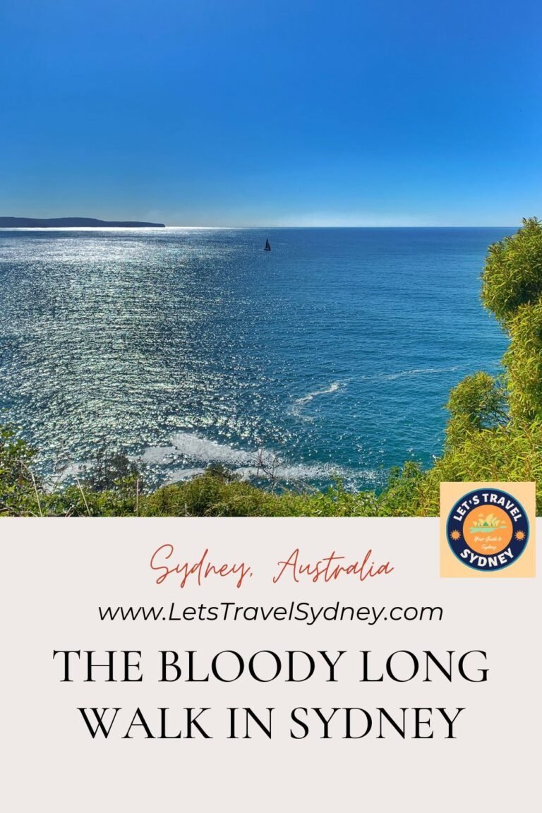The Bloody Long Walk Sydney 2024 Let s Travel Sydney