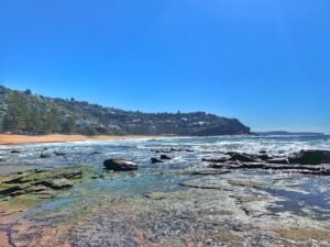 Whale Beach Sydney