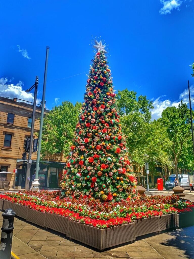 a picture of a Christmas tree in Sydney