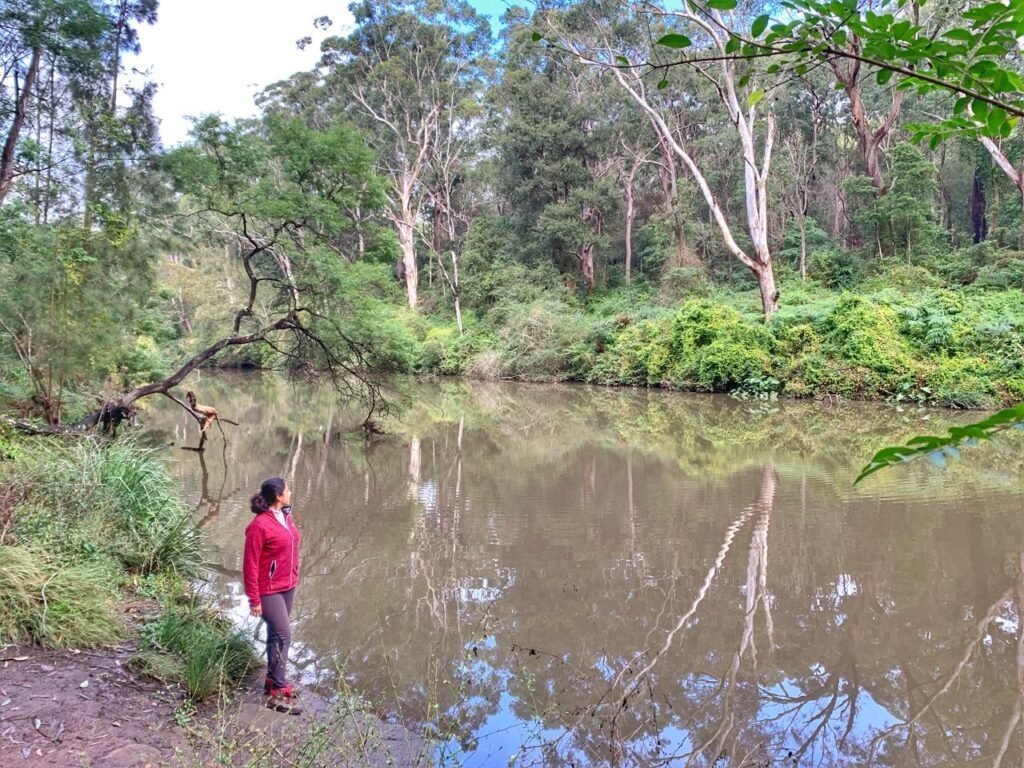 Lane Cove National Park