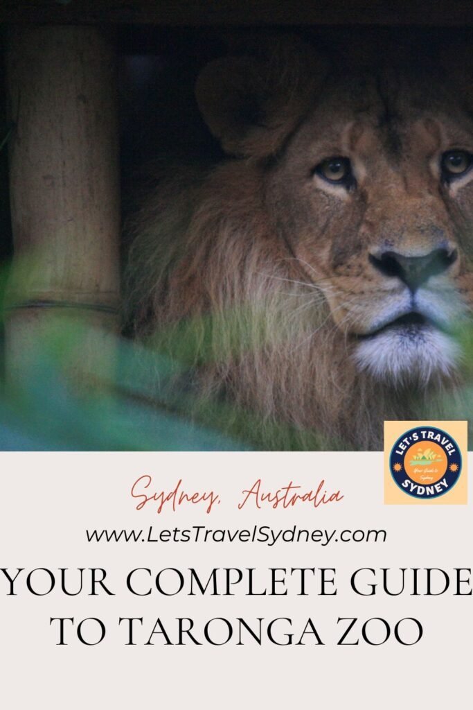 PIN for later reference - Your Complete Guide to Taronga Zoo Tickets