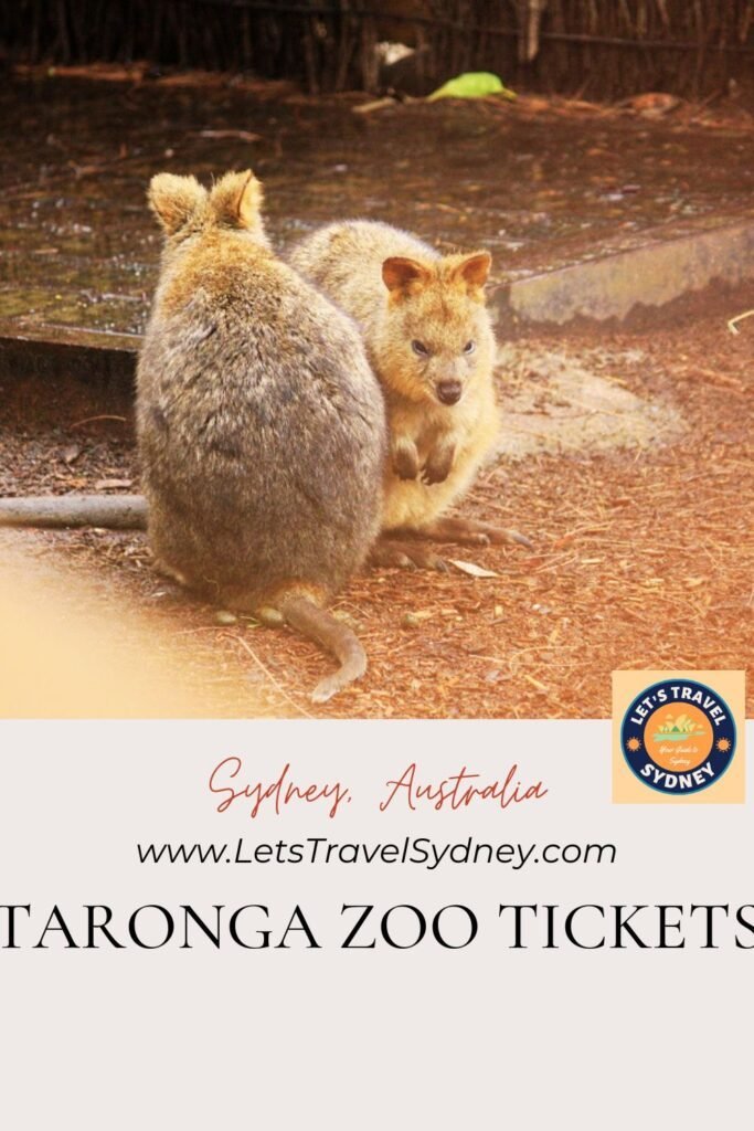 PIN for later reference - Your Complete Guide to Taronga Zoo Tickets