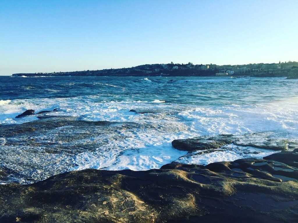 Snorkelling at North Bondi